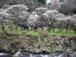 �L���C��������ł�